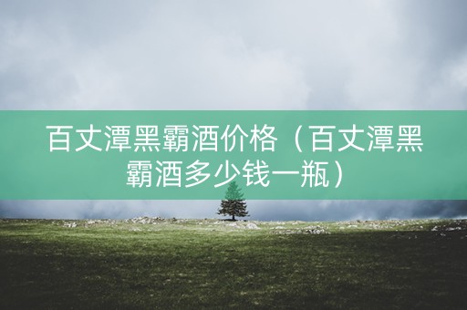百丈潭黑霸酒价格（百丈潭黑霸酒多少钱一瓶）