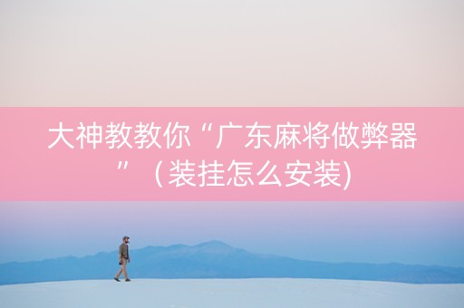 大神教教你“广东麻将做弊器”（装挂怎么安装)