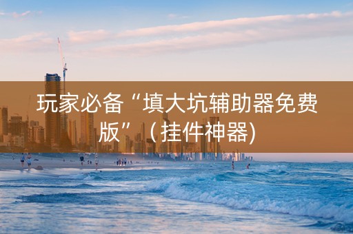 玩家必备“填大坑辅助器免费版”（挂件神器)