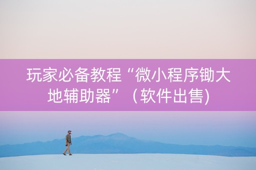 玩家必备教程“微小程序锄大地辅助器”（软件出售)