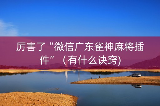 厉害了“微信广东雀神麻将插件”（有什么诀窍)