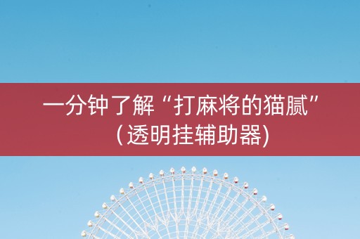 一分钟了解“打麻将的猫腻”（透明挂辅助器)