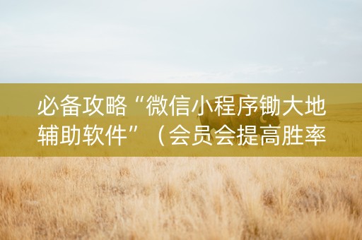 必备攻略“微信小程序锄大地辅助软件”（会员会提高胜率吗)
