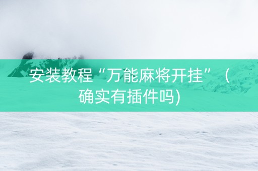 安装教程“万能麻将开挂”（确实有插件吗)