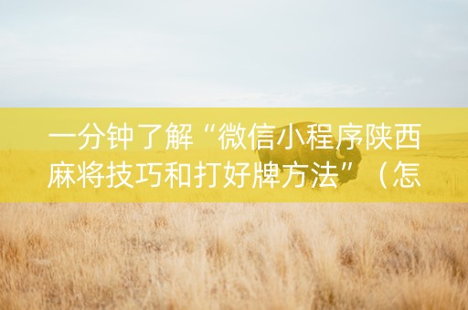 一分钟了解“微信小程序陕西麻将技巧和打好牌方法”（怎么能调好牌)