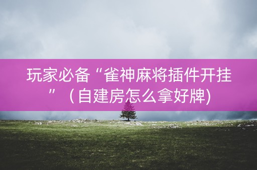 玩家必备“雀神麻将插件开挂”（自建房怎么拿好牌)