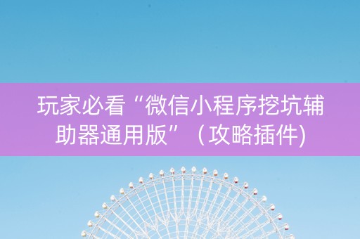 玩家必看“微信小程序挖坑辅助器通用版”（攻略插件)