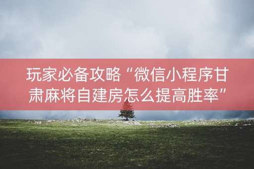 玩家必备攻略“微信小程序甘肃麻将自建房怎么提高胜率”（规律确实有挂)