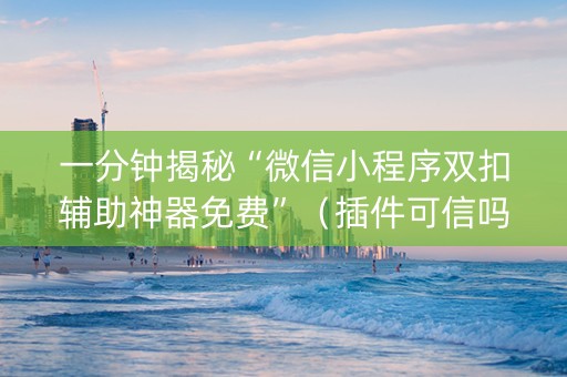 一分钟揭秘“微信小程序双扣辅助神器免费”（插件可信吗)