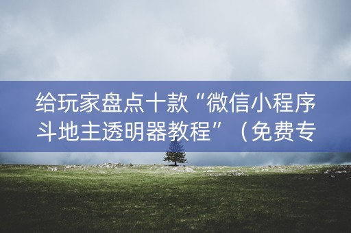 给玩家盘点十款“微信小程序斗地主透明器教程”（免费专用神器)