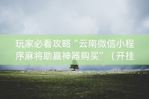 玩家必看攻略“云南微信小程序麻将助赢神器购买”（开挂辅助脚本)