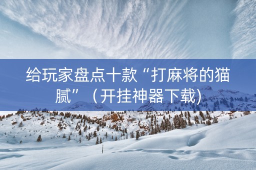 给玩家盘点十款“打麻将的猫腻”（开挂神器下载)