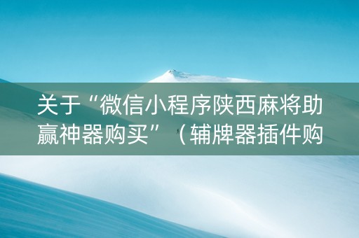 关于“微信小程序陕西麻将助赢神器购买”（辅牌器插件购买)