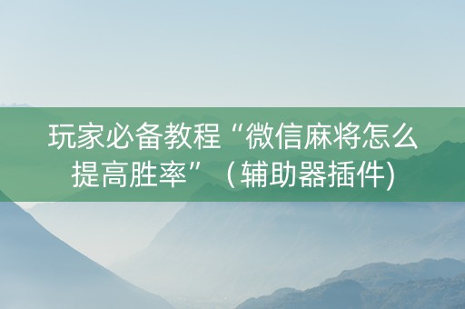 玩家必备教程“微信麻将怎么提高胜率”（辅助器插件)
