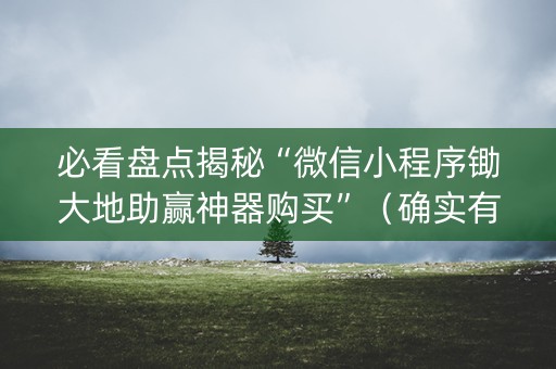 必看盘点揭秘“微信小程序锄大地助赢神器购买”（确实有插件吗)