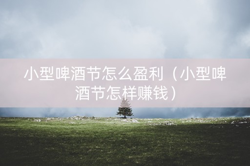 小型啤酒节怎么盈利（小型啤酒节怎样赚钱）