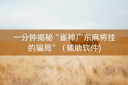 一分钟揭秘“雀神广东麻将挂的骗局”（辅助软件)