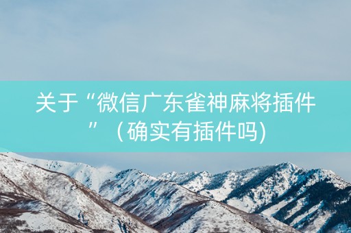 关于“微信广东雀神麻将插件”（确实有插件吗)
