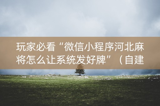 玩家必看“微信小程序河北麻将怎么让系统发好牌”（自建房怎么拿好牌)