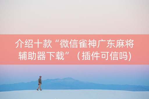 介绍十款“微信雀神广东麻将辅助器下载”（插件可信吗)