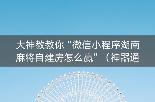 大神教教你“微信小程序湖南麻将自建房怎么赢”（神器通用版)