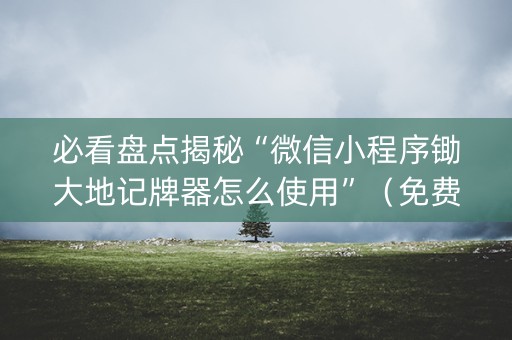 必看盘点揭秘“微信小程序锄大地记牌器怎么使用”（免费专用神器)