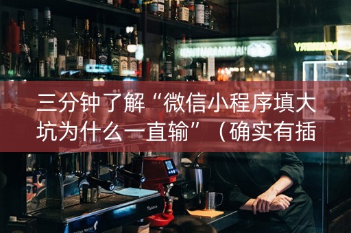 三分钟了解“微信小程序填大坑为什么一直输”（确实有插件吗)