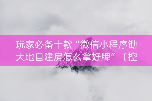 玩家必备十款“微信小程序锄大地自建房怎么拿好牌”（控牌神器)