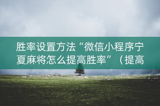 胜率设置方法“微信小程序宁夏麻将怎么提高胜率”（提高胜率软件)