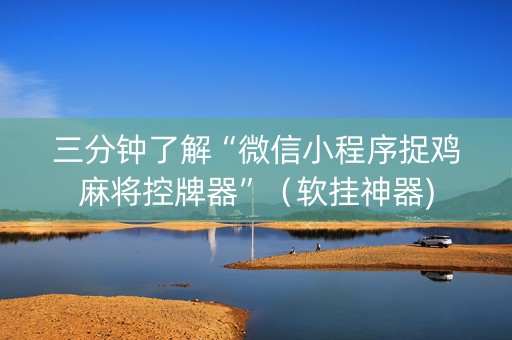 三分钟了解“微信小程序捉鸡麻将控牌器”（软挂神器)