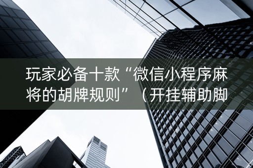 玩家必备十款“微信小程序麻将的胡牌规则”（开挂辅助脚本)