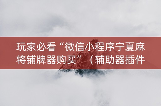 玩家必看“微信小程序宁夏麻将铺牌器购买”（辅助器插件)