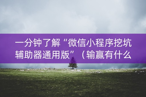 一分钟了解“微信小程序挖坑辅助器通用版”（输赢有什么规律)