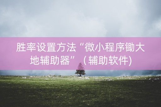 胜率设置方法“微小程序锄大地辅助器”（辅助软件)