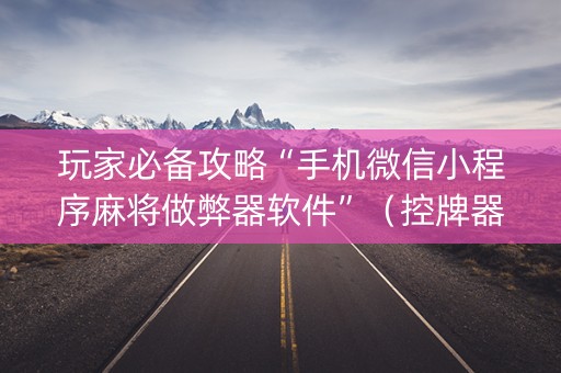 玩家必备攻略“手机微信小程序麻将做弊器软件”（控牌器)