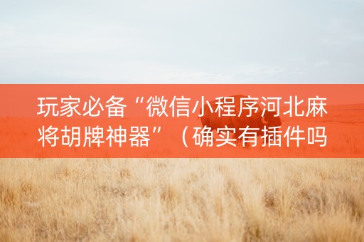 玩家必备“微信小程序河北麻将胡牌神器”（确实有插件吗)