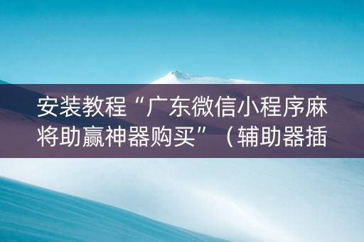 安装教程“广东微信小程序麻将助赢神器购买”（辅助器插件)