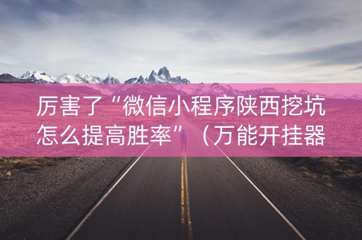 厉害了“微信小程序陕西挖坑怎么提高胜率”（万能开挂器)