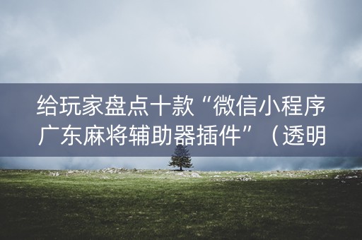 给玩家盘点十款“微信小程序广东麻将辅助器插件”（透明挂辅助器)