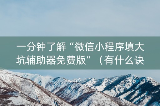 一分钟了解“微信小程序填大坑辅助器免费版”（有什么诀窍)