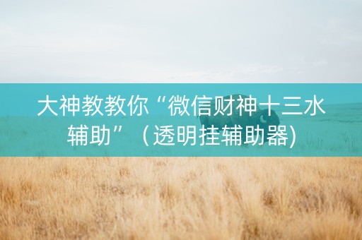 大神教教你“微信财神十三水辅助”（透明挂辅助器)