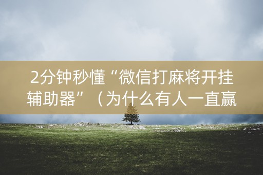 2分钟秒懂“微信打麻将开挂辅助器”（为什么有人一直赢)