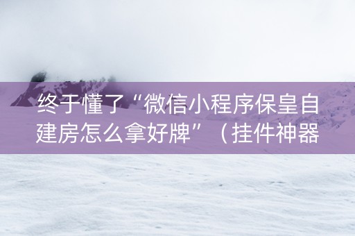 终于懂了“微信小程序保皇自建房怎么拿好牌”（挂件神器)