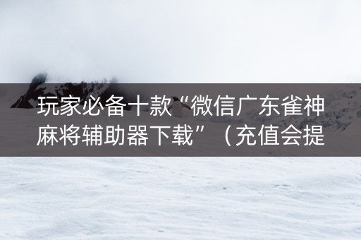 玩家必备十款“微信广东雀神麻将辅助器下载”（充值会提高胜率么)