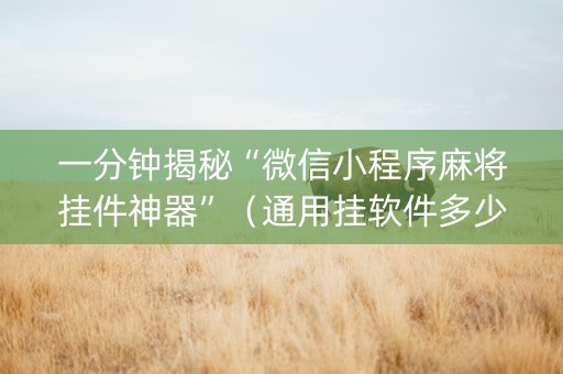 一分钟揭秘“微信小程序麻将挂件神器”（通用挂软件多少钱)