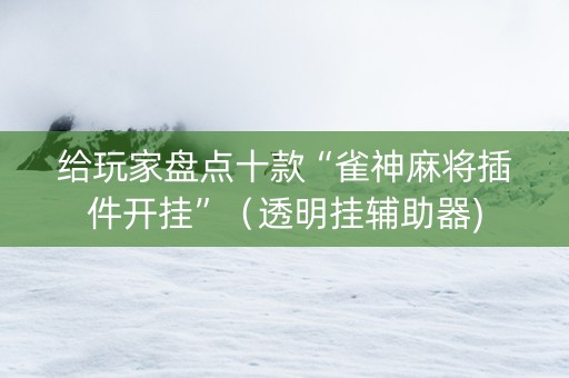 给玩家盘点十款“雀神麻将插件开挂”（透明挂辅助器)