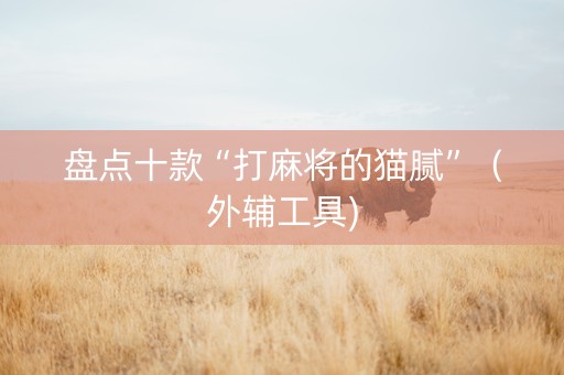 盘点十款“打麻将的猫腻”（外辅工具)