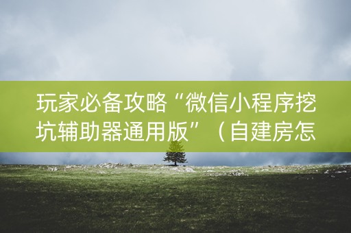 玩家必备攻略“微信小程序挖坑辅助器通用版”（自建房怎么赢)