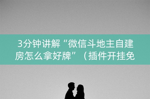 3分钟讲解“微信斗地主自建房怎么拿好牌”（插件开挂免费AI)