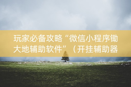 玩家必备攻略“微信小程序锄大地辅助软件”（开挂辅助器插件)